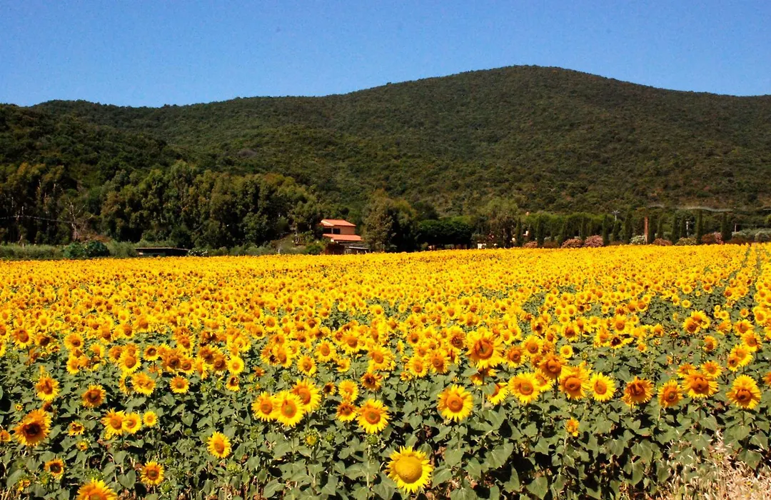 Podere Valborgina-1